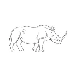Rhinoceros on white background. Vector.