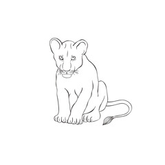 Lion cub on white background. Vector .
