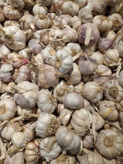 group of garlic in the market