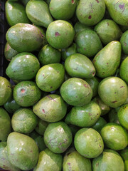 fresh green avocado for sale in the market