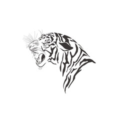 Tiger on white background. Vector .