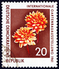 Postage stamp Germany 1961 Dahlia, International Horticulture Ex