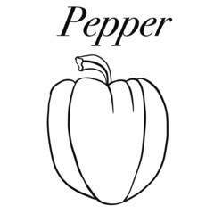 vegetables,foods,plants,food,vegan food,red,yellow,green,orange,healthy food products,healthy food,healthy food,vitamins,cooking