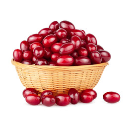 Dogwood basket isolated on a white background