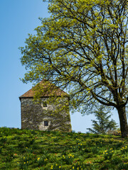 Fototapeta na wymiar Historic building on top of the hill during spring flower season in Besancon France
