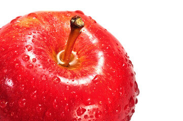  A red apple on a white background  