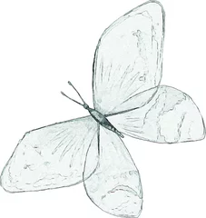 Wall murals Butterflies in Grunge A pencil sketch of a butterfly. Craft illustration for invitations and cards. Drawing of an insect with wings. Image of an animal on a white background.