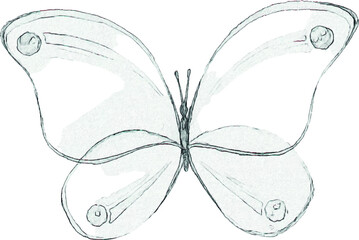 A pencil sketch of a butterfly. Craft illustration for invitations and cards. Drawing of an insect with wings. Image of an animal on a white background.