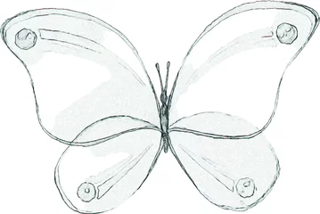 Blackout roller blinds Butterflies in Grunge A pencil sketch of a butterfly. Craft illustration for invitations and cards. Drawing of an insect with wings. Image of an animal on a white background.