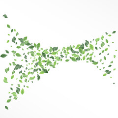 Forest Leaf Organic Vector White Background
