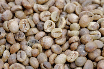 dry organic green bean coffee.