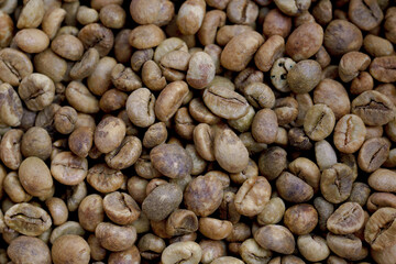 dry organic green bean coffee.