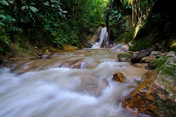 Interior of the central jungle of Peru, dense vegetation with rivers and waterfalls full of purity and tranquility.