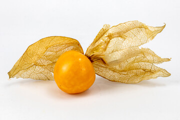 Fresh Physalis Fruit, Cape Gooseberry, Golden berries, isolated in white background, macro detailing, studio lighting. 