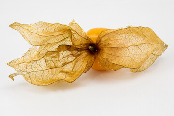 Naklejka premium Fresh Physalis Fruit, Cape Gooseberry, Golden berries, isolated in white background, macro detailing, studio lighting. 