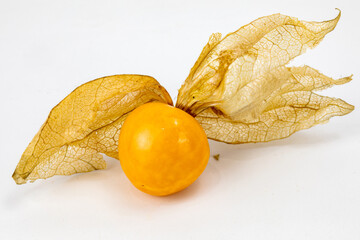 Fresh Physalis Fruit, Cape Gooseberry, Golden berries, isolated in white background, macro detailing, studio lighting. 
