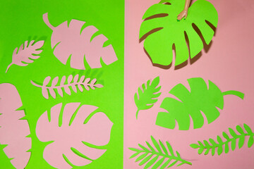 pink-green background on the green part pink jungle leaves on the pink part green jungle leaves, hand down the last leaf on the background creative art tropical design