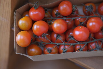 Seasonal fresh vegetables. Red cherry tomatoes