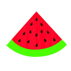 Colorful Part of the watermelon. Vector watermelon on a white background. summer watermelon.