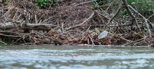 Plastic bottle in a mountain river. environment ecology concept