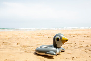 penguin on the beach