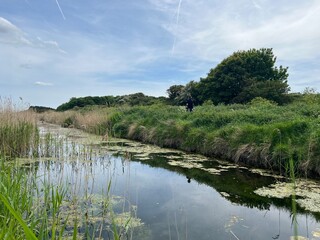 Beautiful landscape of deep still river in Norfolk Broad wildlife nature reserve with green lush plants and grasses reflected in the tranquil calm East Anglia uk water early Summer blue grey sky day