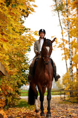 Obraz premium Portrait of a pretty young woman with a brown horse riding autumn day