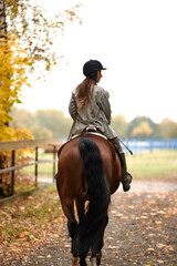 Rear view shot. Portrait of a pretty young woman with a brown horse riding autumn day