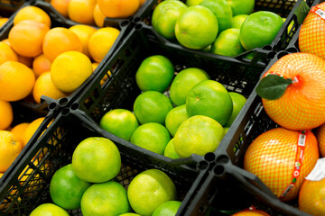 Fresh citrus are on the shelf in the store. a variety of citrus fruits. oranges, tangerines, lime, lemons. supermarket