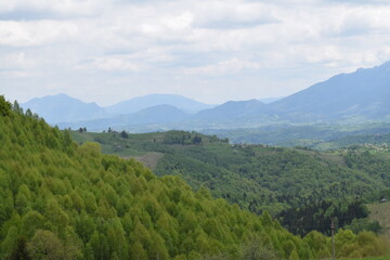 Naklejka premium Breath of fresh air