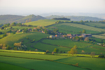 Fototapeta na wymiar Fresh Green Farmland at Spring in United Kingdom