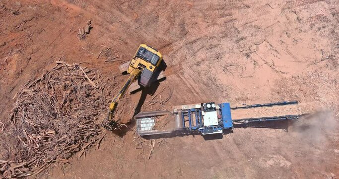 Industrial shredder machine an work conveyor the roots shredding from producing wood chips in construction site