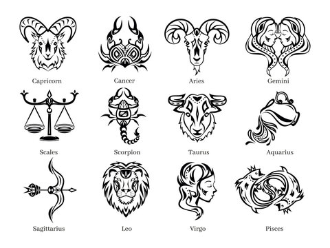 Vector graphic illustration of zodiac signs. All zodiac signs in silhouettes concept: Aries; Taurus; Gemini; Cancer; Leo; Virgo; Libra; Scorpio; Sagittarius; Capricorn; Aquarius and Pisces.