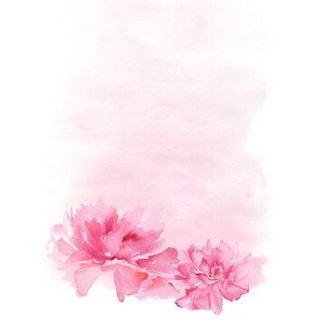 Pink Watercolor Background With Delicate Flowers. D