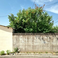 Fototapeta premium wall in front of the house