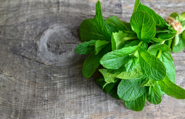 Green mint leaves on old wooden background.Spearmint, peppermint herb.Herbal medicine, healthy food concept with space for text.