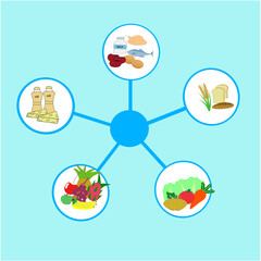 posters for food teaching materials, vector
