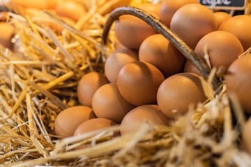 Farm fresh eggs at the Boqueria market in Barcelona (Spain), selective focus on the center of the image.