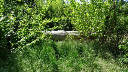 wasser, fluss, natur, baum, wald, landschaft, bach, baum, sommer, see, park, frühling, teich, garden, holz, gras, jahreszeit, himmel, pflanze, bach, brücke, blatt, schönheit, pflanze