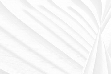 Obraz premium beauty fashion white abstract soft fabric smooth curve shape decorate textile background