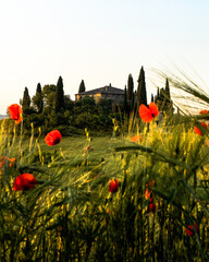 Tuscany landscape in sunrise