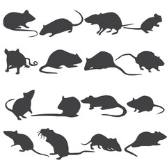 Rat Vector Art, Icons, and Graphics.
Rat animal isolated icon.
rat vector art illustration, rat set, New vector 