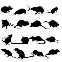 set of silhouettes of animals Rat Vector Art, Icons, and Graphics.
Rat animal isolated icon.
rat vector art illustration, rat set, New vector 