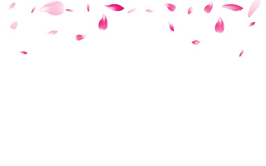 Transparent Flower Petal Vector White Background.