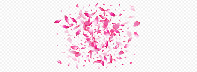 Obraz premium Purple Rose Vector Panoramic Transparent