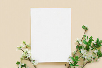Blank greeting card, invitation mockup. Apple flowers, blossoming plant on beige table background. Flat lay, top view. Copyspace. Canvas mock up. Modern Minimal business brand template. Soft shadow