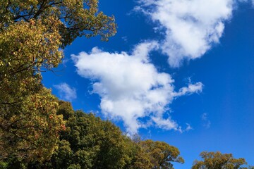 爽やかなブルーの青空と雲