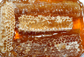 Hexagonal honeycomb cells with honey that hold the queen bee's eggs and store the pollen and honey...