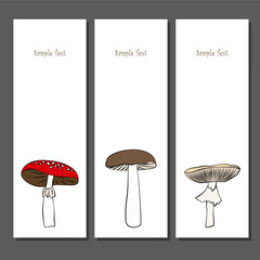 
Vector botanical wall arts, with mushrooms. Minimalistic and natural. Mushrooms and line arts design.
