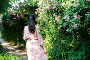 The back view of tourists in the garden in the afternoon